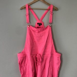 Rouge Women's Pink Cloth Overalls (4X)